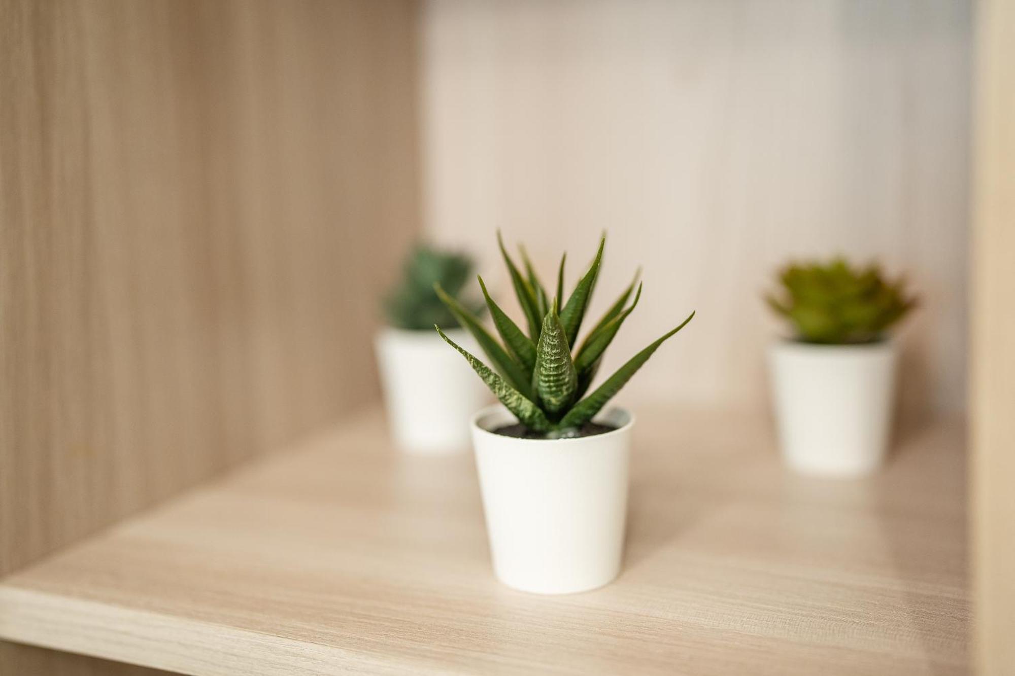 Certosa Charm - Free Garage Parking By Innstay Apartment